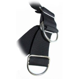 Fastening buckle with D-ring