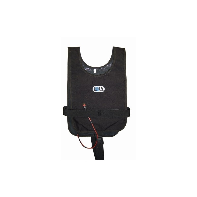 Heating vest