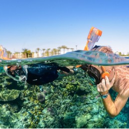 OCEAN REEF Komunikátor na šnorchlovací masku Snorkie Talkie divers.cz