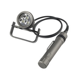 DCTS CANISTER LIGHT