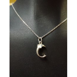 Silver earrings set with pendant - dolphins