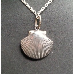 Anhänger Muschel Silber