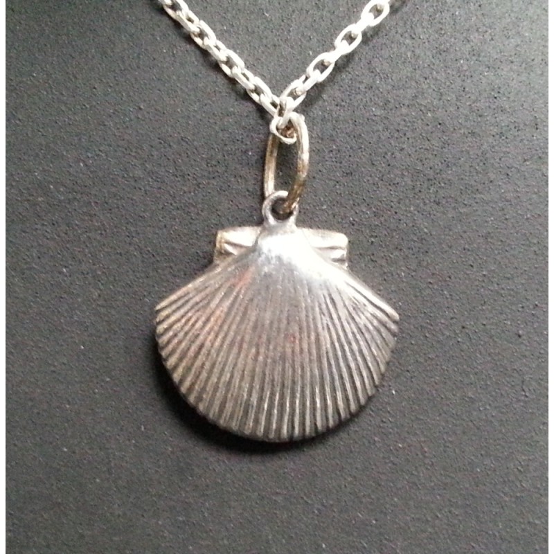 Anhänger Muschel Silber Anhänger Muschel Silber