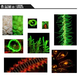 ARCHON Lampe vidéo LED 2600 lumen