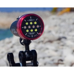 LIGHT AND MOTION Lampa SOLA PHOTO 800 divers.cz