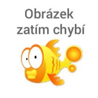 Dárky pro děti